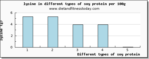 soy protein lysine per 100g